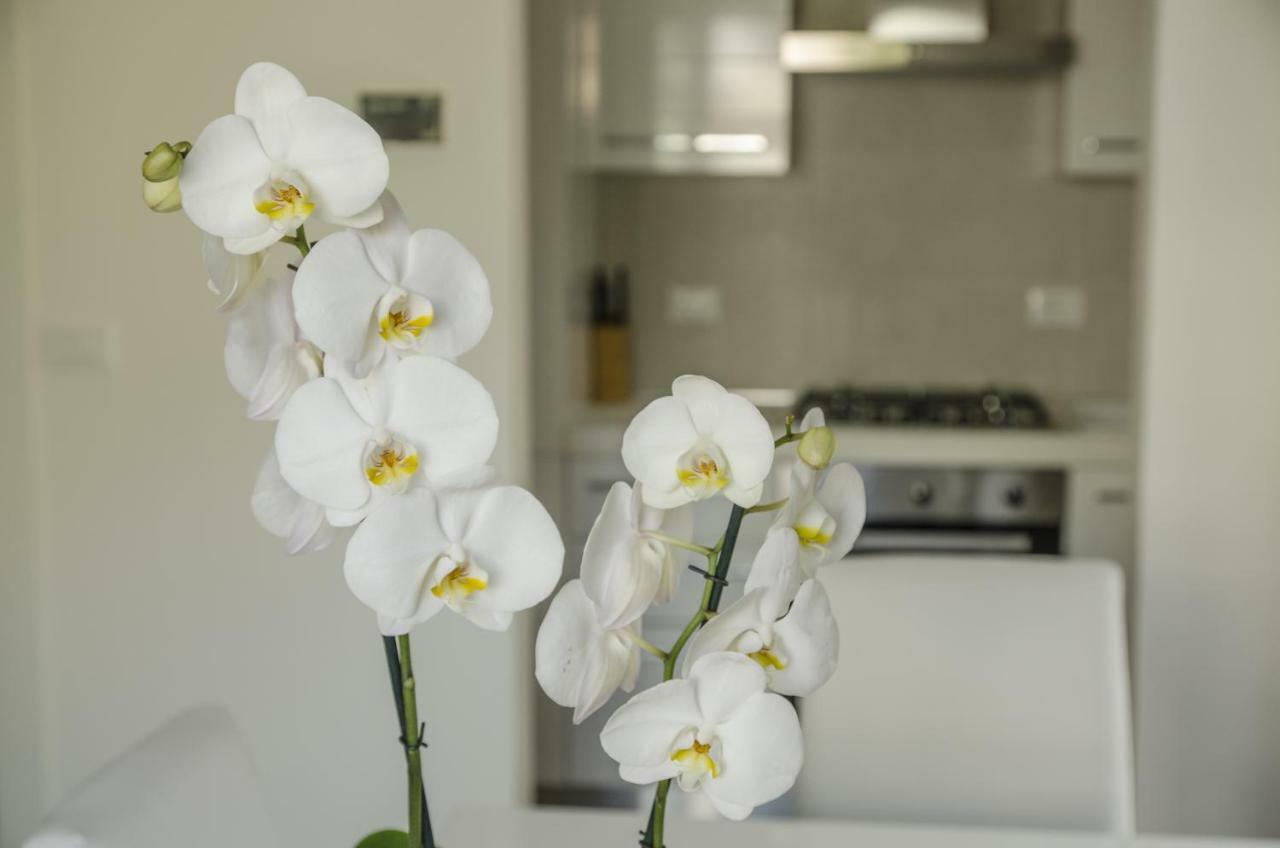 Appartamenti Federica Milano Marittima Exteriér fotografie