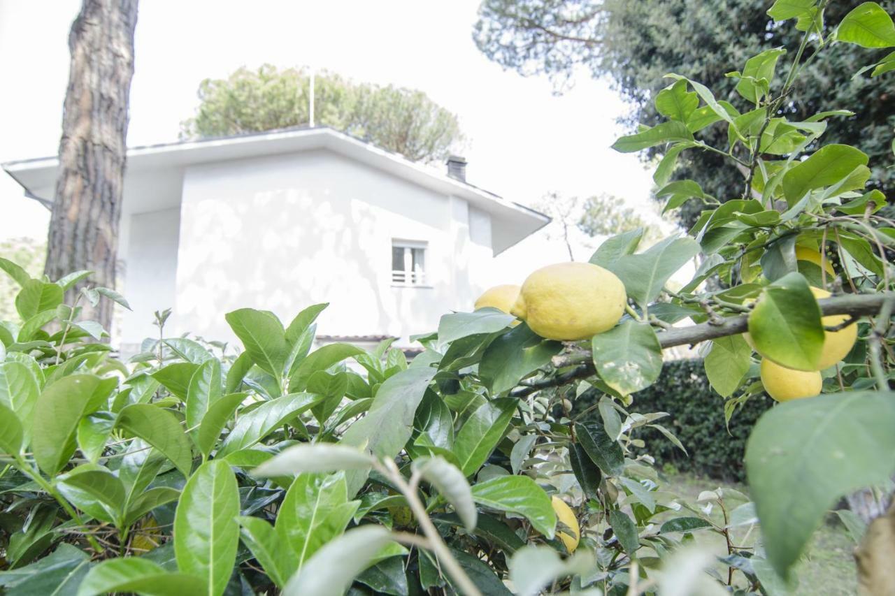 Appartamenti Federica Milano Marittima Exteriér fotografie